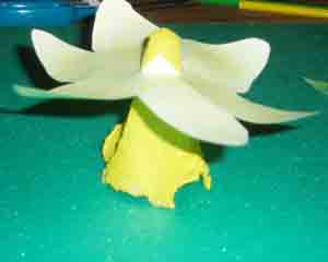 Daffodil_tabs