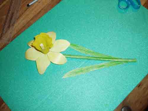 Spring_Daffodil